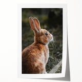 Rustic Bunny Wall Art – Farmhouse Decor with Natural Wildlife Charm