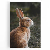 Rustic Bunny Wall Art – Farmhouse Decor with Natural Wildlife Charm
