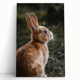 Rustic Bunny Wall Art – Farmhouse Decor with Natural Wildlife Charm