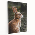 Rustic Bunny Wall Art – Farmhouse Decor with Natural Wildlife Charm