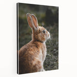Rustic Bunny Wall Art – Farmhouse Decor with Natural Wildlife Charm
