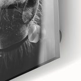 Black and White Horse Close-Up Wall Art – Rustic Farmhouse Decor