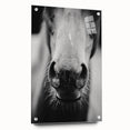 Black and White Horse Close-Up Wall Art – Rustic Farmhouse Decor