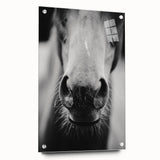 Black and White Horse Close-Up Wall Art – Rustic Farmhouse Decor
