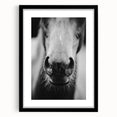 Black and White Horse Close-Up Wall Art – Rustic Farmhouse Decor