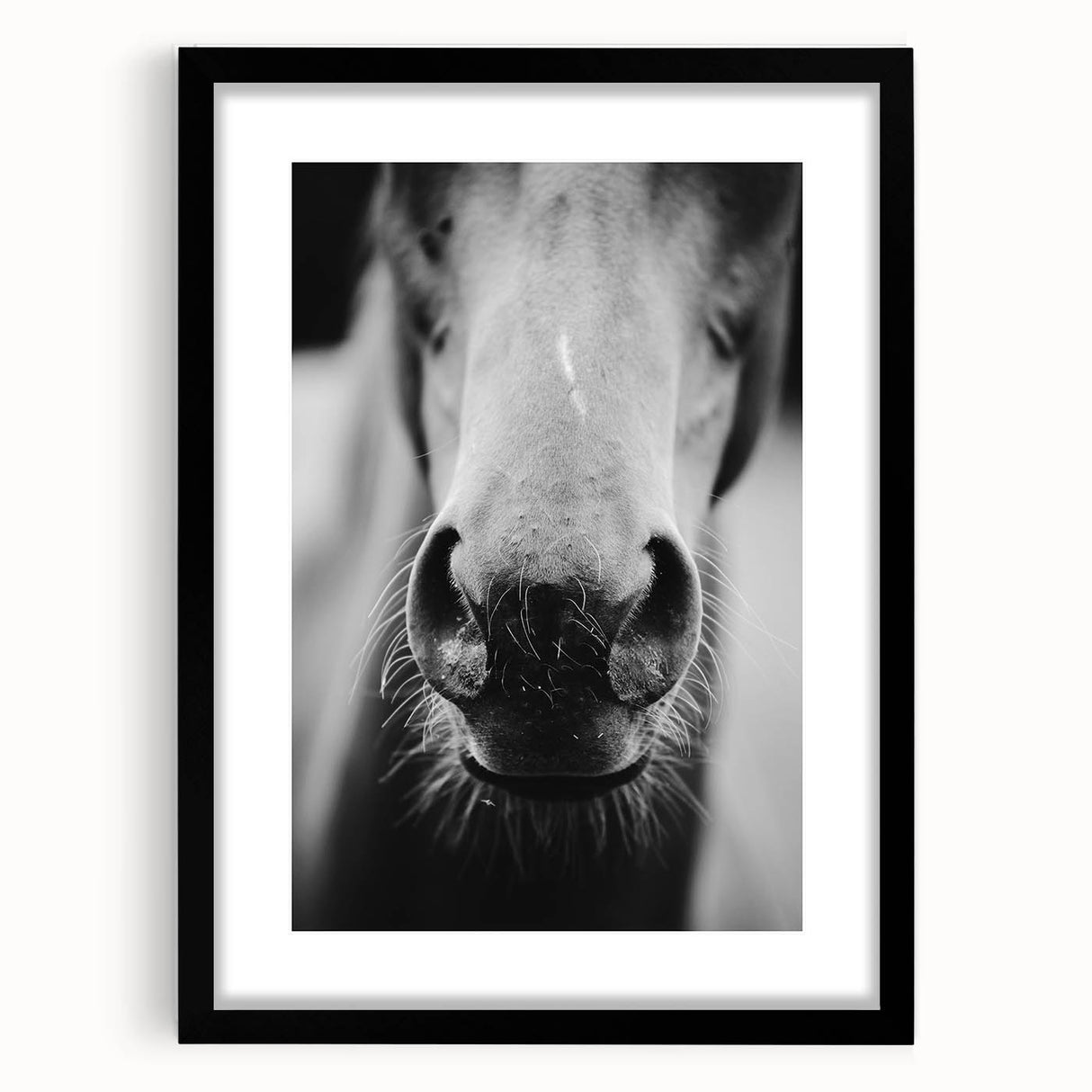 Black and White Horse Close-Up Wall Art – Rustic Farmhouse Decor