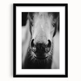Black and White Horse Close-Up Wall Art – Rustic Farmhouse Decor