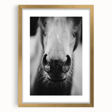 Black and White Horse Close-Up Wall Art – Rustic Farmhouse Decor