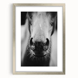 Black and White Horse Close-Up Wall Art – Rustic Farmhouse Decor