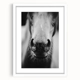 Black and White Horse Close-Up Wall Art – Rustic Farmhouse Decor
