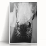 Black and White Horse Close-Up Wall Art – Rustic Farmhouse Decor