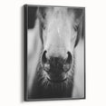 Black and White Horse Close-Up Wall Art – Rustic Farmhouse Decor