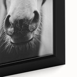 Black and White Horse Close-Up Wall Art – Rustic Farmhouse Decor