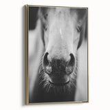 Black and White Horse Close-Up Wall Art – Rustic Farmhouse Decor