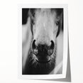 Black and White Horse Close-Up Wall Art – Rustic Farmhouse Decor