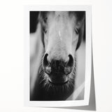 Black and White Horse Close-Up Wall Art – Rustic Farmhouse Decor