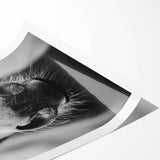 Black and White Horse Close-Up Wall Art – Rustic Farmhouse Decor