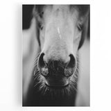 Black and White Horse Close-Up Wall Art – Rustic Farmhouse Decor