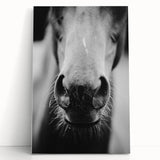 Black and White Horse Close-Up Wall Art – Rustic Farmhouse Decor