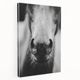 Black and White Horse Close-Up Wall Art – Rustic Farmhouse Decor