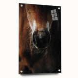 Close-Up Horse Muzzle: Rustic Farmhouse Art Print