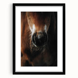 Close-Up Horse Muzzle: Rustic Farmhouse Art Print