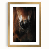 Close-Up Horse Muzzle: Rustic Farmhouse Art Print