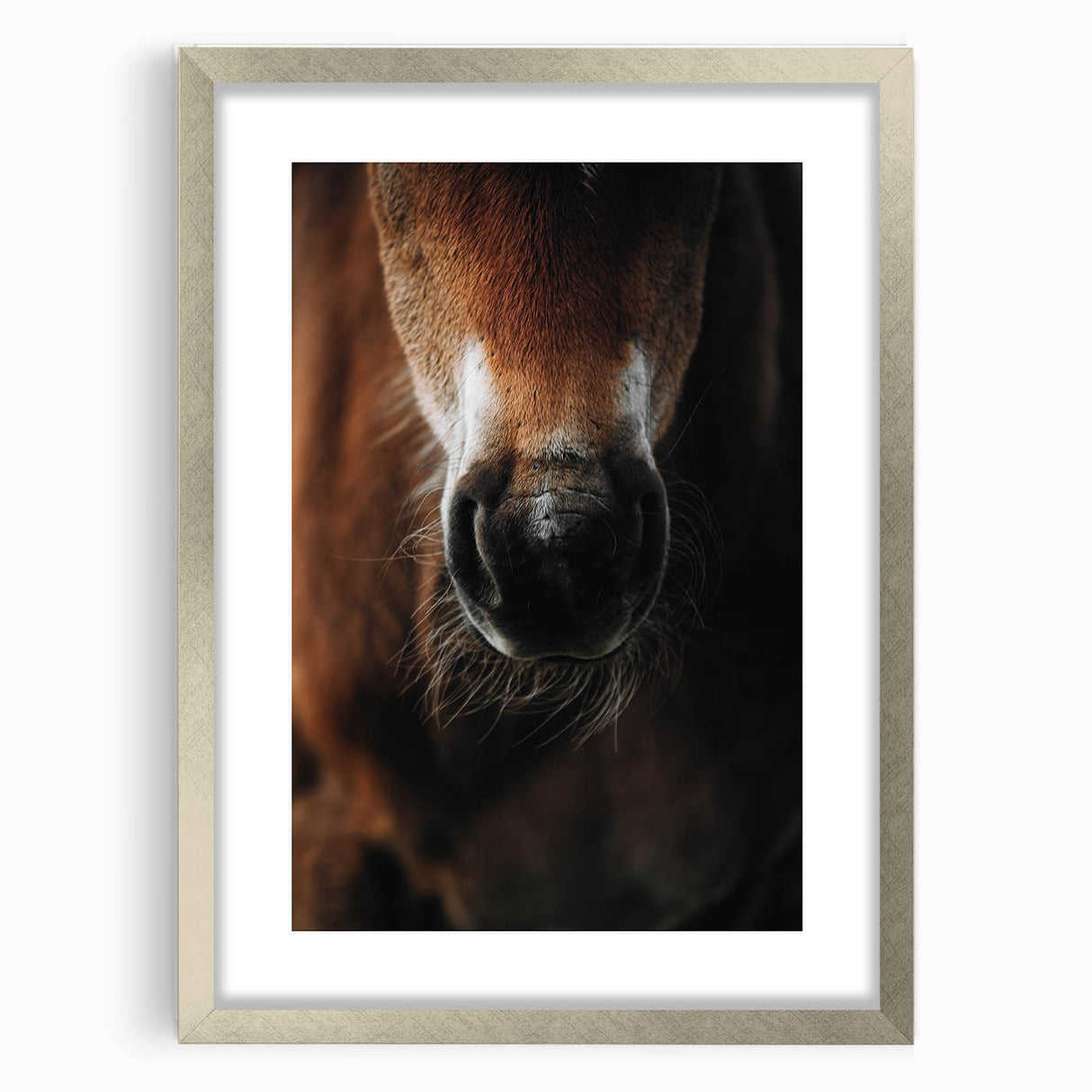 Close-Up Horse Muzzle: Rustic Farmhouse Art Print