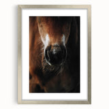 Close-Up Horse Muzzle: Rustic Farmhouse Art Print