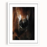 Close-Up Horse Muzzle: Rustic Farmhouse Art Print