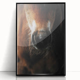 Close-Up Horse Muzzle: Rustic Farmhouse Art Print