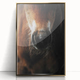 Close-Up Horse Muzzle: Rustic Farmhouse Art Print