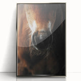Close-Up Horse Muzzle: Rustic Farmhouse Art Print