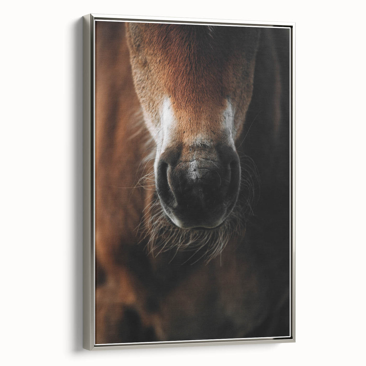 Close-Up Horse Muzzle: Rustic Farmhouse Art Print
