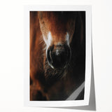 Close-Up Horse Muzzle: Rustic Farmhouse Art Print