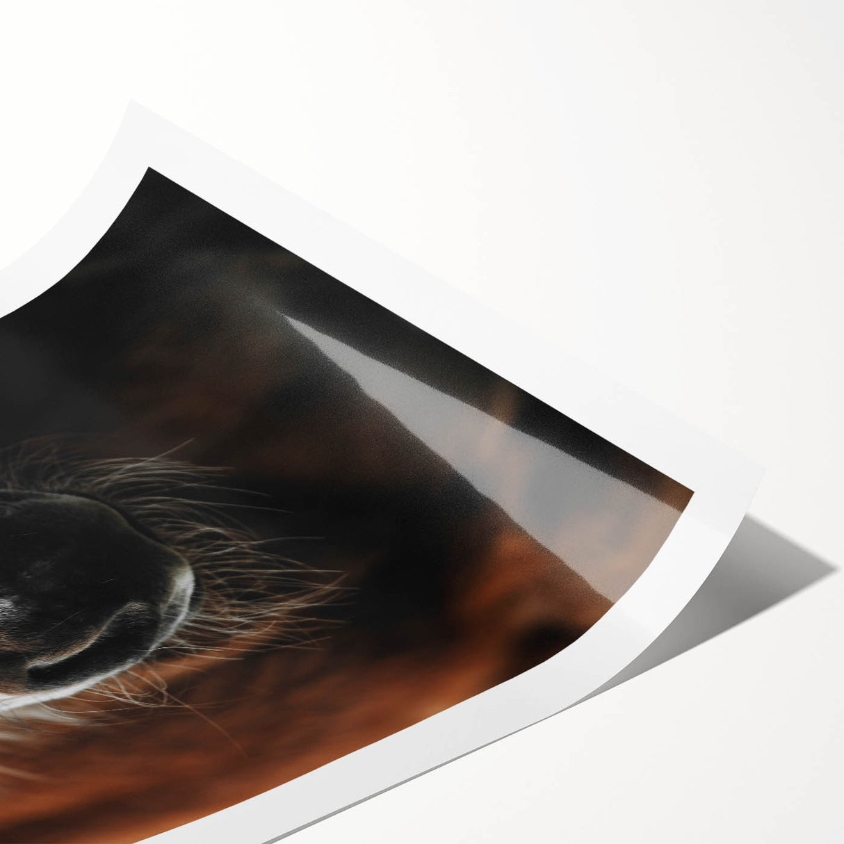 Close-Up Horse Muzzle: Rustic Farmhouse Art Print