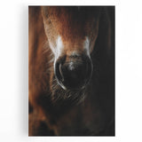 Close-Up Horse Muzzle: Rustic Farmhouse Art Print