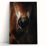 Close-Up Horse Muzzle: Rustic Farmhouse Art Print
