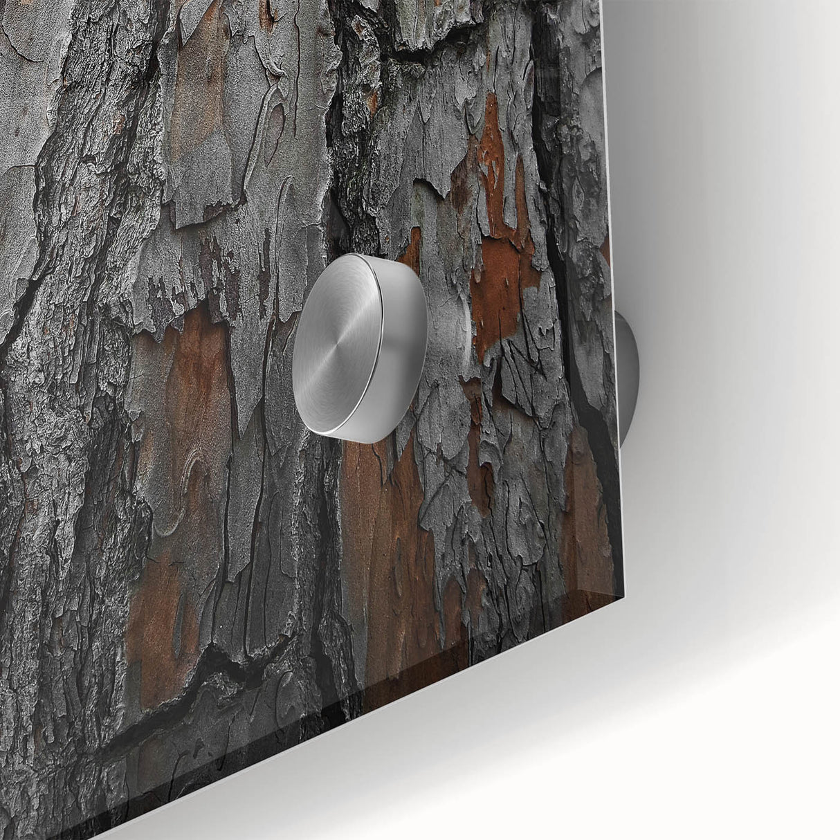 Rustic Tree Bark Texture Wall Art – Nature-Inspired Farmhouse Decor