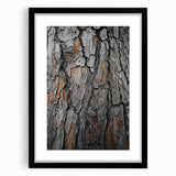 Rustic Tree Bark Texture Wall Art – Nature-Inspired Farmhouse Decor