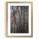 Rustic Tree Bark Texture Wall Art – Nature-Inspired Farmhouse Decor