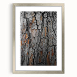 Rustic Tree Bark Texture Wall Art – Nature-Inspired Farmhouse Decor
