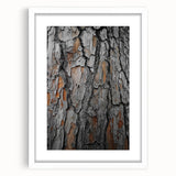 Rustic Tree Bark Texture Wall Art – Nature-Inspired Farmhouse Decor