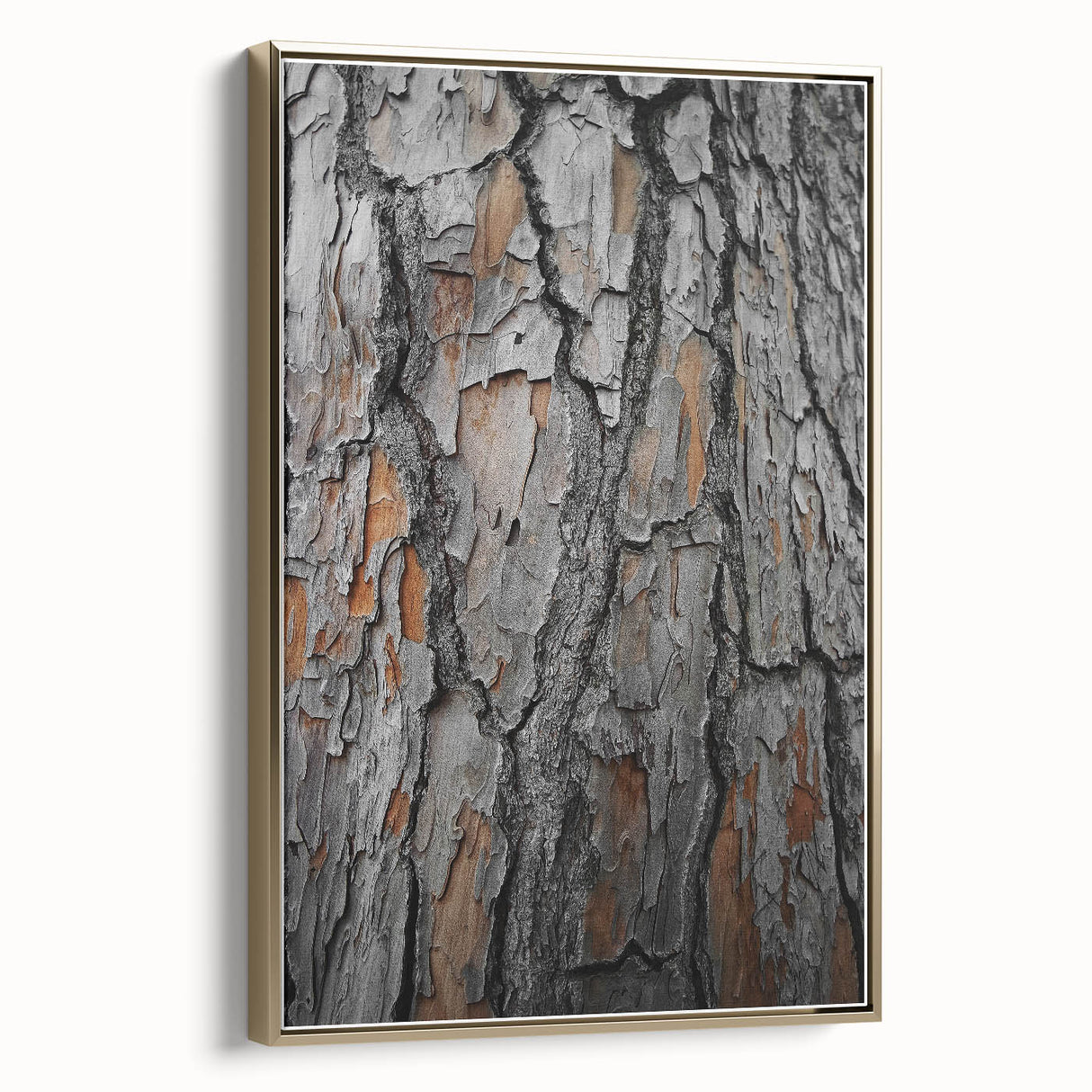 Rustic Tree Bark Texture Wall Art – Nature-Inspired Farmhouse Decor