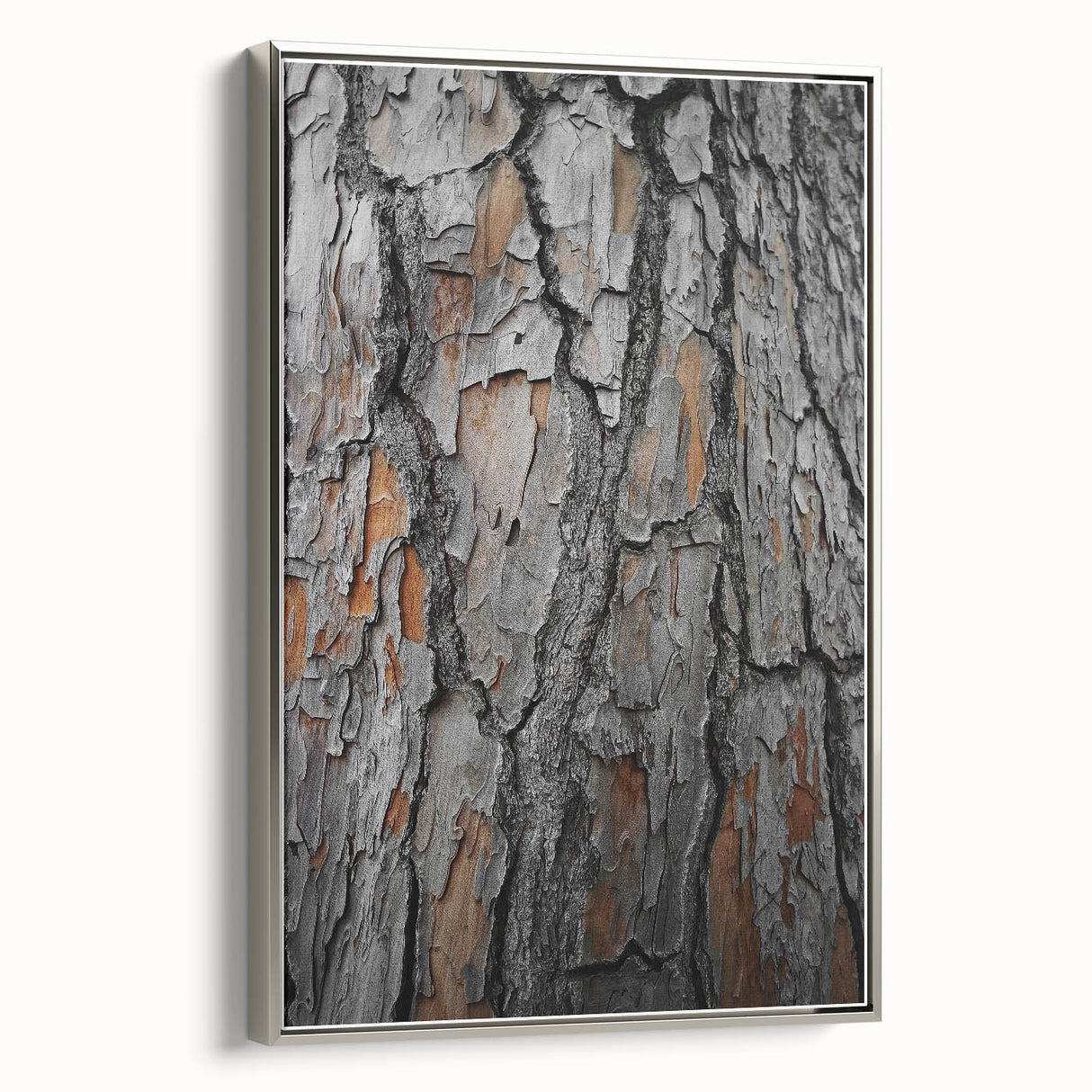 Rustic Tree Bark Texture Wall Art – Nature-Inspired Farmhouse Decor