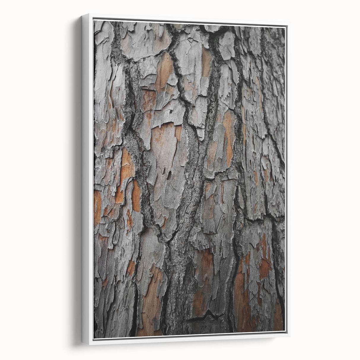 Rustic Tree Bark Texture Wall Art – Nature-Inspired Farmhouse Decor