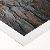 Rustic Tree Bark Texture Wall Art – Nature-Inspired Farmhouse Decor