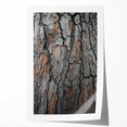 Rustic Tree Bark Texture Wall Art – Nature-Inspired Farmhouse Decor