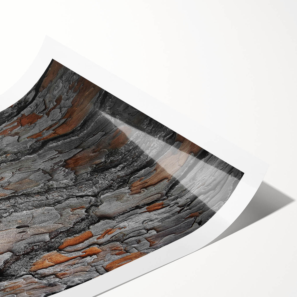 Rustic Tree Bark Texture Wall Art – Nature-Inspired Farmhouse Decor