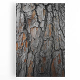 Rustic Tree Bark Texture Wall Art – Nature-Inspired Farmhouse Decor